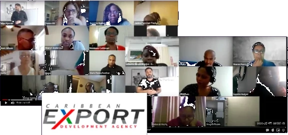 Participant grid from an ecommerce webinar delivered with the Caribbean Export Development Agency